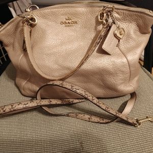 COPY - Limited edition coach handbag